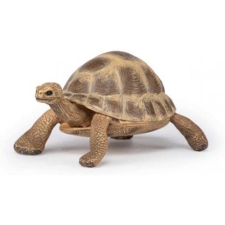 Papo Schildpad Figuur