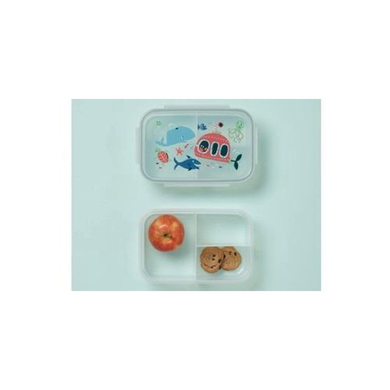 hier Vorming alleen Bento box lunchbox met vakverdeling Oceaan - Pingouin à Roulettes
