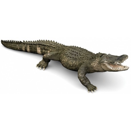 Papo Alligator Figuur