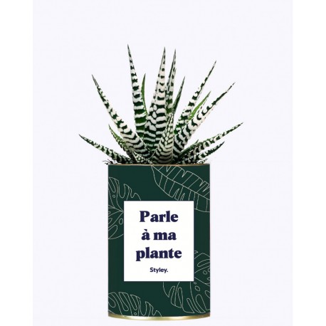 Plante "Parle à ma plante"