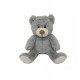 Bouillotte peluche Ours gris