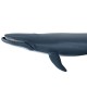 Figuur blauwe walvis Papo