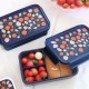 Bento lunchbox Aardbeien